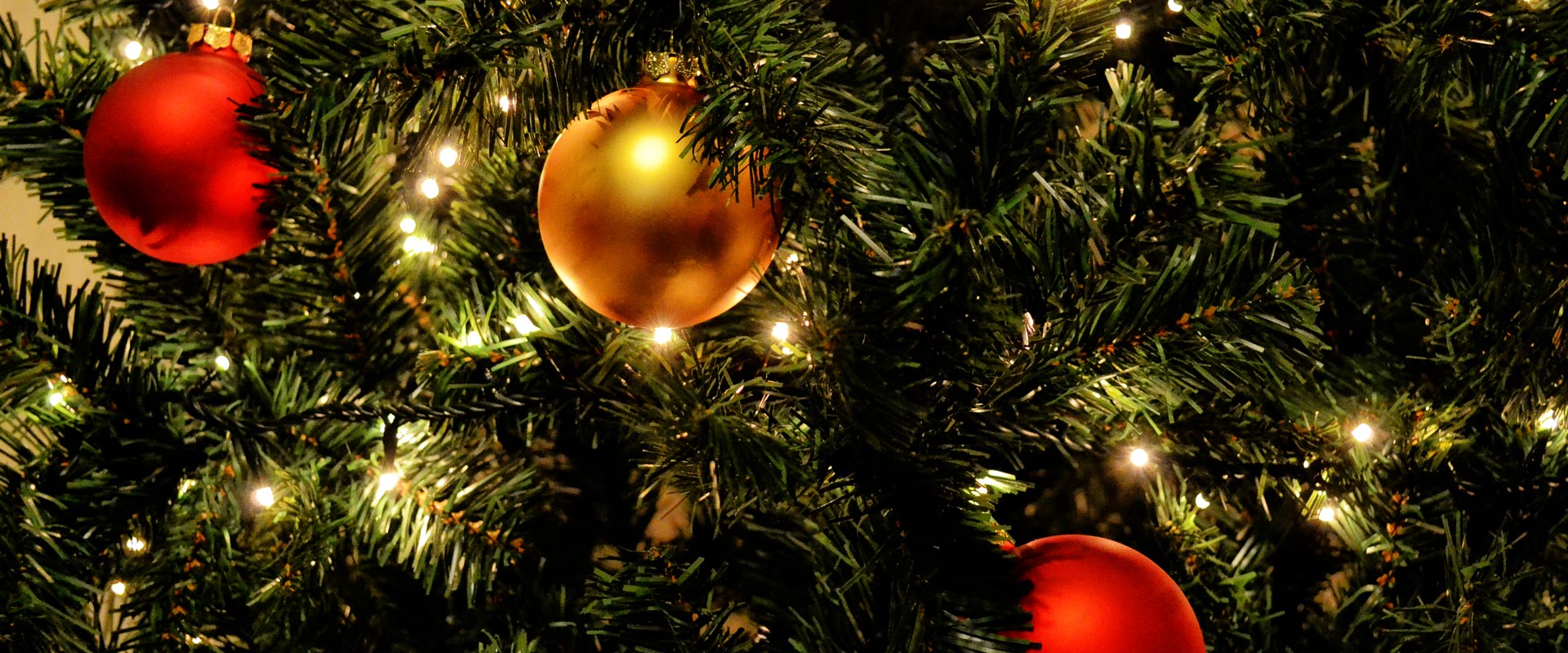 Taxi Service, Airport Cab, Transportation Twin Falls, ID Magic Valley